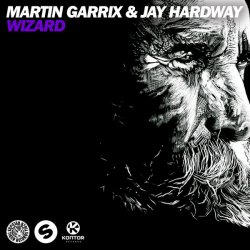 Мұқаба Martin Garrix & Jay Hardway - Wizard (Original Mix)