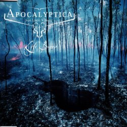 Мұқаба Apocalyptica Feat. Lauri Ylönen - Life Burns