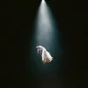 Мұқаба Ariana Grande - dandelion Ariana Grande - dandelion
