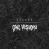 Мұқаба Owl Vision - Zyborg Owl Vision - Zyborg