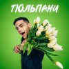 Мұқаба VOLKANOV - ТЮЛЬПАНИ VOLKANOV - ТЮЛЬПАНИ