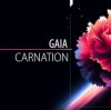 Мұқаба Gaia - Carnation Gaia - Carnation