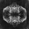 Мұқаба Owl Vision - Draug Owl Vision - Draug