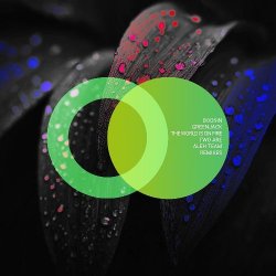 Мұқаба Boosin & Greenjack - The World Is on Fire (Aleh Team Remix)