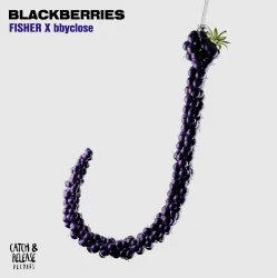 Мұқаба FISHER & bbyclose - Blackberries (Extended Mix)