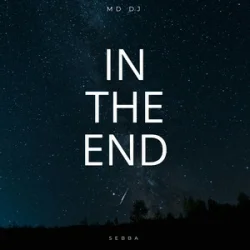 Мұқаба MD Dj & Sebba - In The End