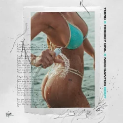 Мұқаба TOPIC & Fireboy DML & Nico Santos - Body TOPIC