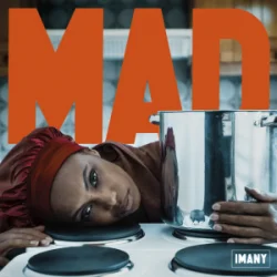 Мұқаба Imany - Mad