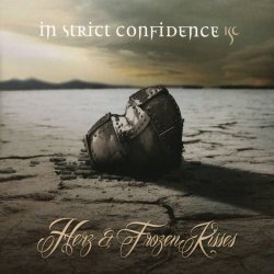 Мұқаба In Strict Confidence - The Darkside