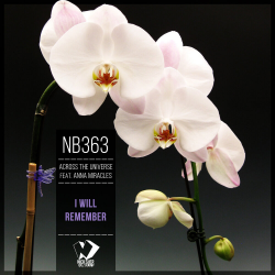 Мұқаба I Will Remember (Original mix)