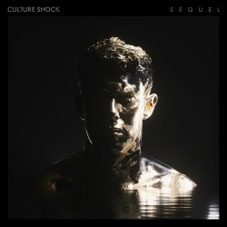 Мұқаба Sub Focus feat. Culture Shock - Move Higher