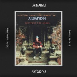 Мұқаба Аквариум - Русская Нирвана