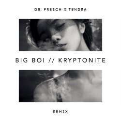 Мұқаба Big Boi - Kryptonite (Dr. Fresch x Tendra Remix)