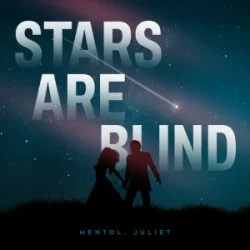 Мұқаба Paris Hilton - Stars Are Blind (Mentol & Juliet Cover Remix)