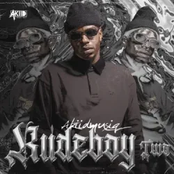 Мұқаба AkiidMusiq - Vutha Mlilo (Mixed)