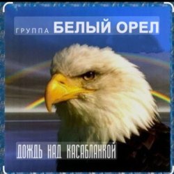 Мұқаба Белый Орел - Дождь смывает все следы