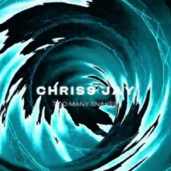 Мұқаба Chriss Jay - Too Many Snakes
