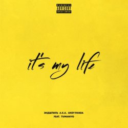Мұқаба Эндшпиль & TumaniYO - It's My Life