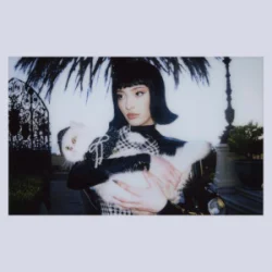 Мұқаба Faouzia - PEACE & VIOLENCE