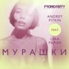 Мұқаба Andrey Pitkin feat. Lera Papish - Мурашки Andrey Pitkin feat. Lera Papish - Мурашки