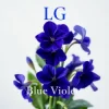 Мұқаба Lali Gordzamashvili - ლურჯი იები-Blue Violets Lali Gordzamashvili - ლურჯი იები-Blue Violets