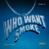 Мұқаба Tricky Nicki & STOSLIV - Who Want Smoke? Tricky Nicki & STOSLIV - Who Want Smoke?
