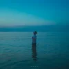 Мұқаба ABIS - Blue ABIS - Blue