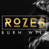 Мұқаба Rozes - Everything Rozes - Everything