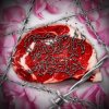 Мұқаба СТЭЙК - Помидорка СТЭЙК - Помидорка