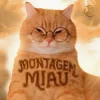 Мұқаба Lenar & Leonardo P - Montagem Miau - Slowed Lenar & Leonardo P - Montagem Miau - Slowed