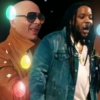 Мұқаба Pitbull feat. Stephen Marley - Options Pitbull feat. Stephen Marley - Options