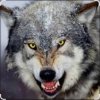Мұқаба Ваня Barsik - Дивіться суки обережно Ваня Barsik - Дивіться суки обережно