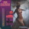 Мұқаба Mr Salama - Fall in love Mr Salama - Fall in love