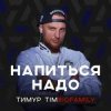 Мұқаба Тимур Timbigfamily - Напиться надо Тимур Timbigfamily - Напиться надо