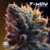 Мұқаба T-Kay - Ganjah VIP (Original Mix) T-Kay - Ganjah VIP (Original Mix)