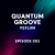 Мұқаба Vexlum - Quantum Groove 002