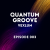 Мұқаба Vexlum - Quantum Groove 003