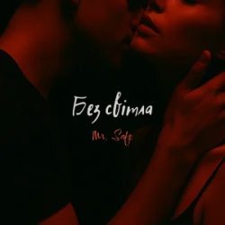 Мұқаба Mr. Safe - Без світла
