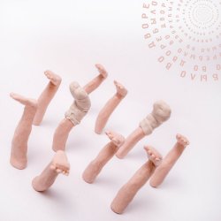 Мұқаба PALC - Во дворе
