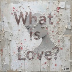 Мұқаба What Is Love (Serge Gri Tech ver cover)