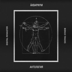 Мұқаба Аквариум - Движение в сторону весны