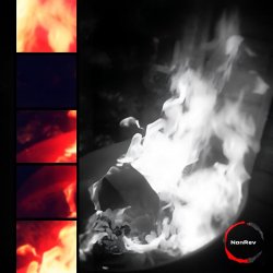 Мұқаба NonRev - Congruent