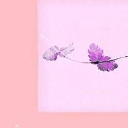 Мұқаба Alina Orlova - Einu