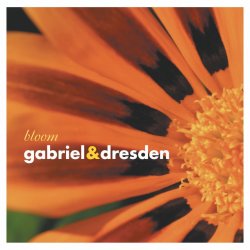 Мұқаба Gabriel & Dresden - Lament