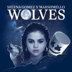 Мұқаба Selena Gomez & Marshmello - Wolves (TCM Hardstyle Remix)
