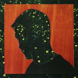 Мұқаба Kidnap Feat. Aaron Smith - Alive