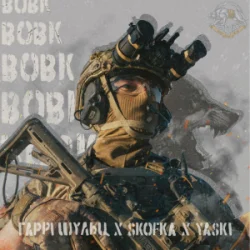 Мұқаба Гаррі Шульц & SKOFKA & Yaski - Вовк