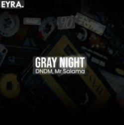 Мұқаба DNDM, Mr Salama - Gray Night