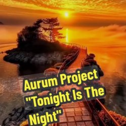 Мұқаба Aurum Project - Tonight Is The Night