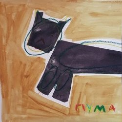 Мұқаба 4 Азиатки - Пума